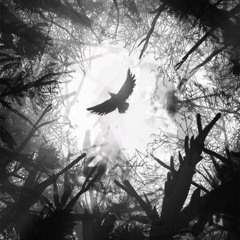 -CROW$WORD- ''Return Of The Master Spirit''
