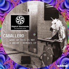 Premiere: Caballero - Wake Up This Is Not A Dream (Kleiman Remix)[Digital Diamonds]