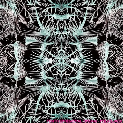 Tenth Ephemeral Dream