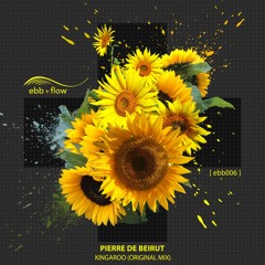 PREMIERE: Pierre De Beirut - Kingaroo (Original Mix) [ebb + flow]