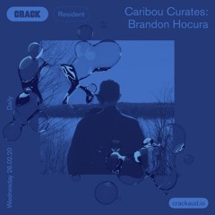 Caribou Curates - Brandon Hocura