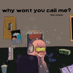 why won't you call me? (feat. Luvless)