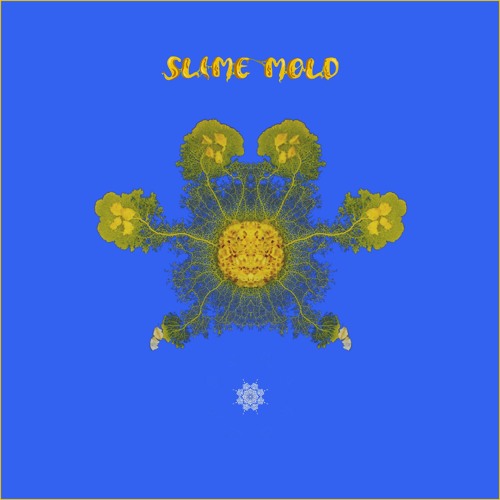 Neberius - Slime Ritum