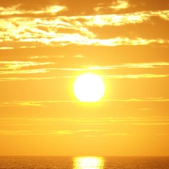 Fly Away (Original Mix)