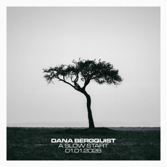 Dana Bergquist - A Slow Start (Mixed 2026-01-01)