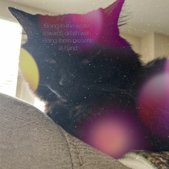 This Way To Space - Time