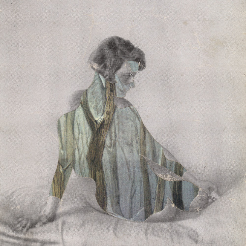 Your Breath On Every Branch