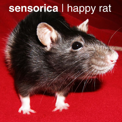 Happy Rat (Original Mix)
