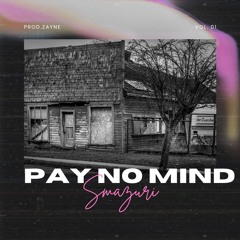 Pay No Mind (prod. zayne)