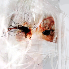 flow state - ft drac prod. dtcookedit