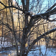 Mother and child reunion.m4a