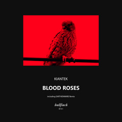 Blood Roses (Earthenware Remix) [Bullfinch]