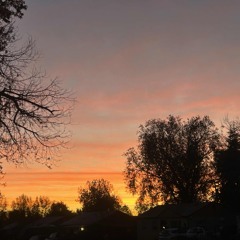 Night Rider (Picking Song for Love)