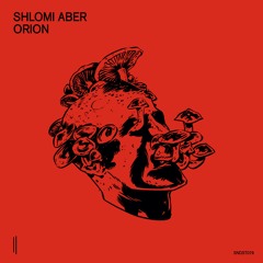 Shlomi Aber - Orion