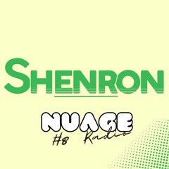 NR#8 Shenron