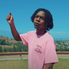310BABII - SOAK CITY (SKURTTLE FLIP)