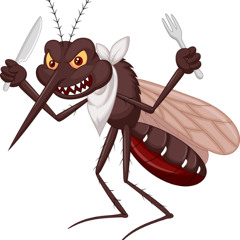 Mystery of Mosquitoes
