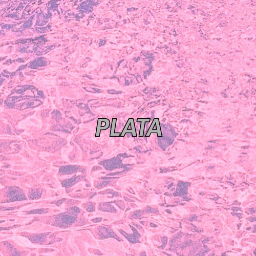 Salsita