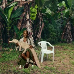 Bad Bunny x Doechii Mashup