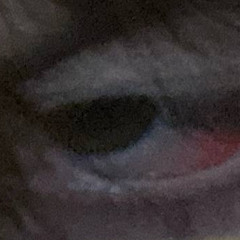 eoihfdgskjsdfgkj
