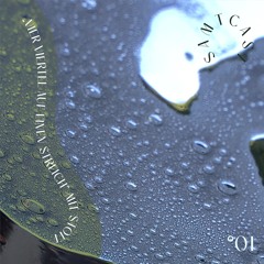 Samtcast mit Stoff | 4 Viertel auf einen Streich