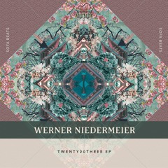 Werner Niedermeier - Cellino (Original Mix) - SNIPPET