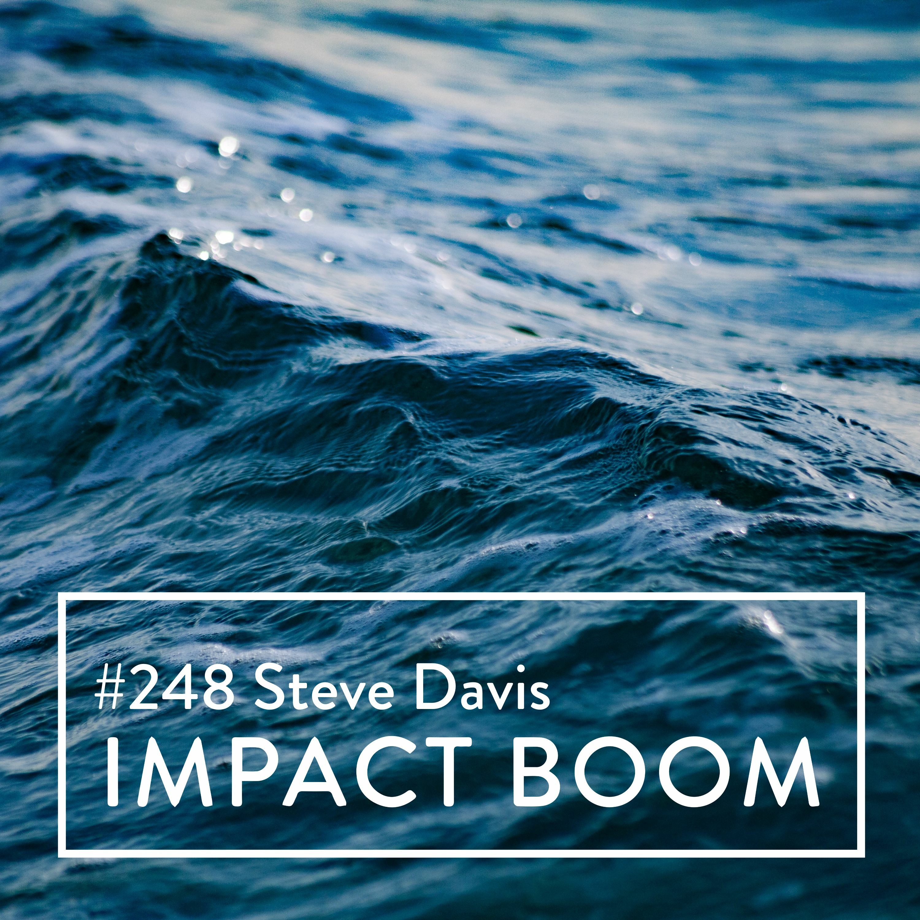 Episode 248 (2021) Steve Davis On Sustaining Practical Activism Through Social Innovation episode artwork