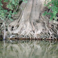 Save Our Rivers (Pt 1, 2& 3)