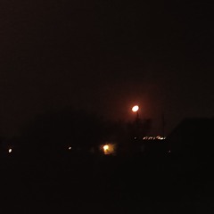 Monsieur Chat - Séance