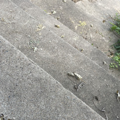 Rolling down concrete hills
