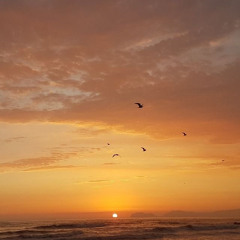 ‎⁨سلمان العتيبي - سورة الأحزاب⁩