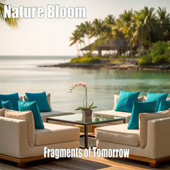 Fragments of Tomorrow