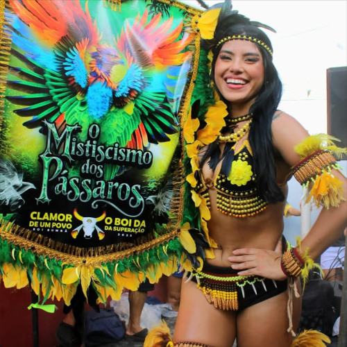 Flor Aurinegra - Comp: Neto Ribeiro