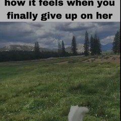 Untitled made of pain .mp3