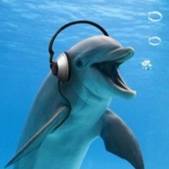 XARTET - DOLPHIN LORE