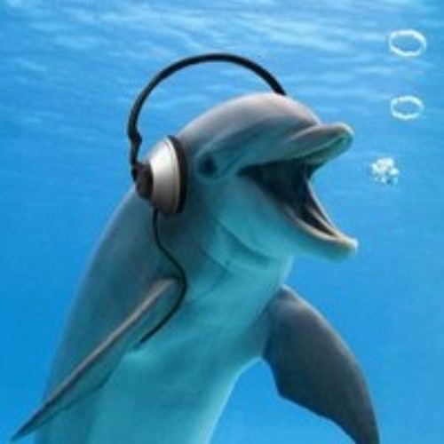 XARTET - DOLPHIN LORE