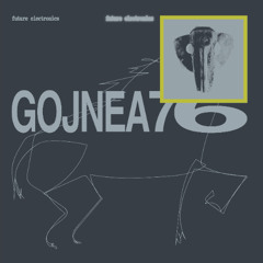 Premiere: B2 - Gojnea76 - Let's Chat [FUEL003]