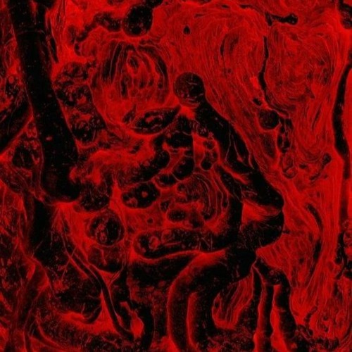 My songs