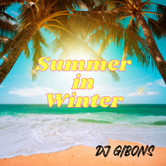 Summer in Winter DJ Gibons