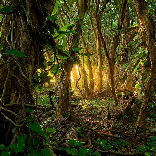 The Lost City of Michelmoria