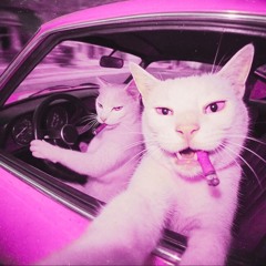 Industrial-Hard-Techno-Bösen Vibe