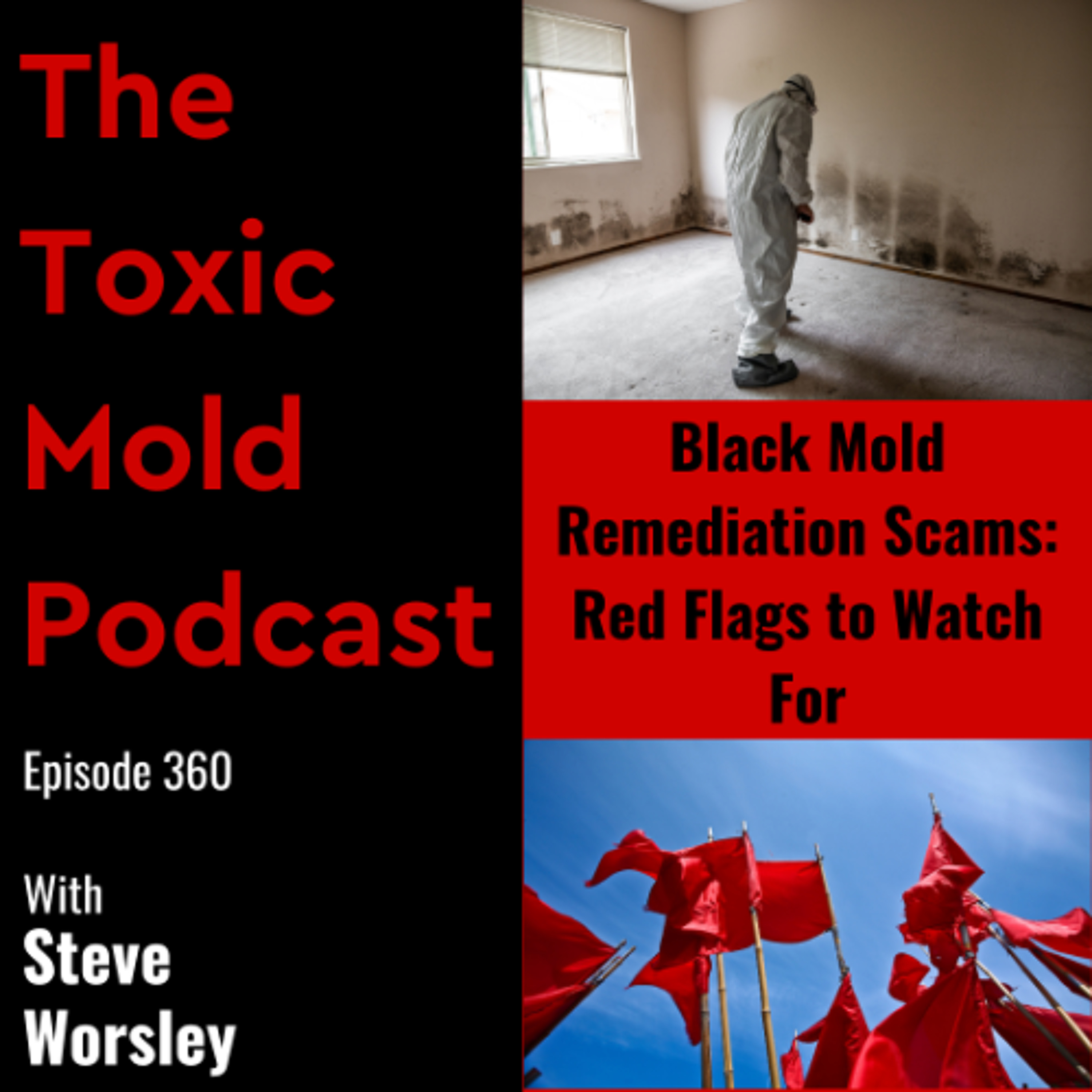 EP 360: Black Mold Remediation Scams: Red Flags to Watch For episode artwork
