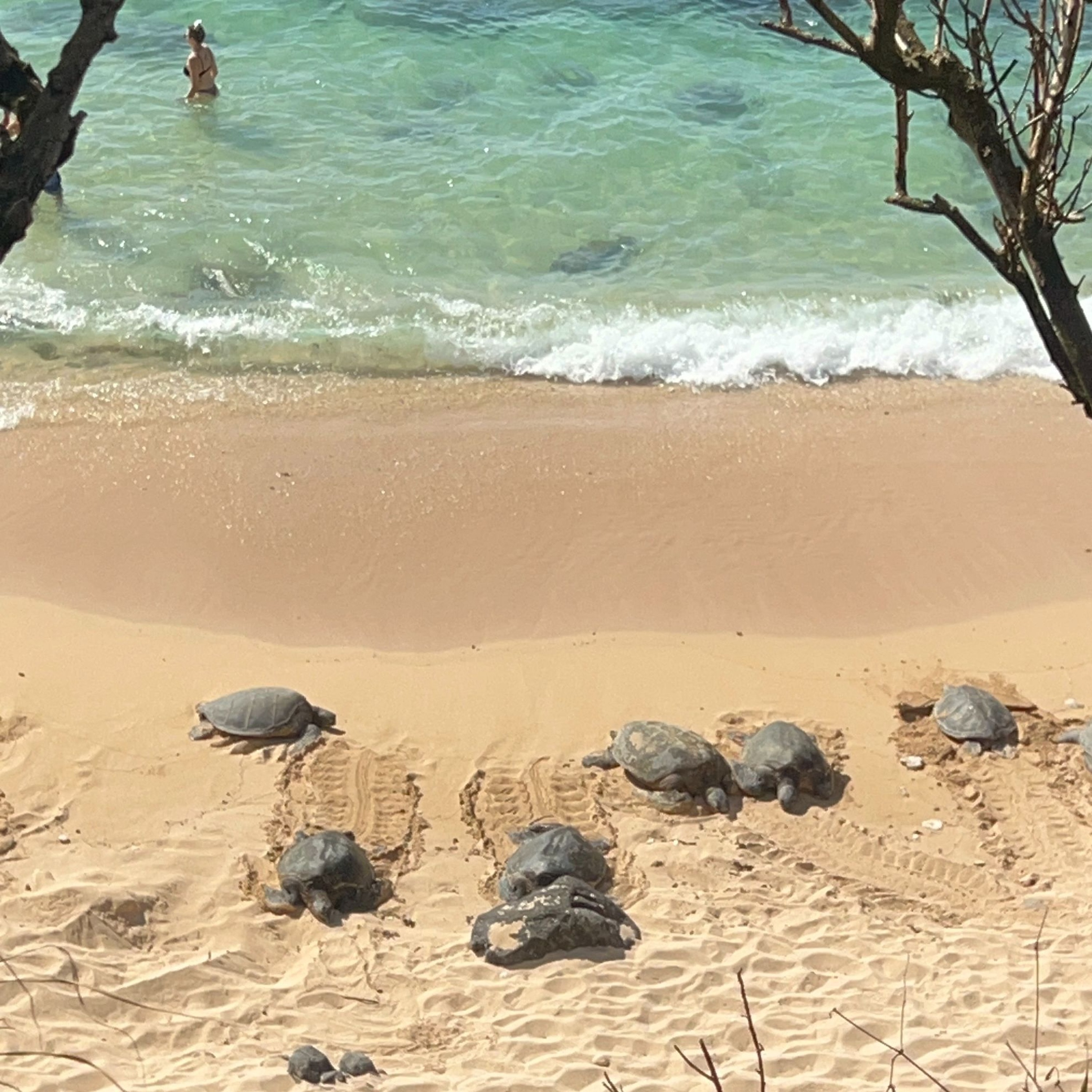 Travel Writers Radio