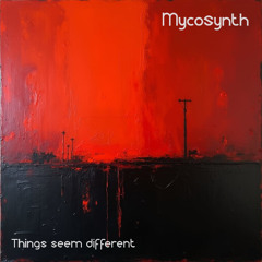 Things seem different
