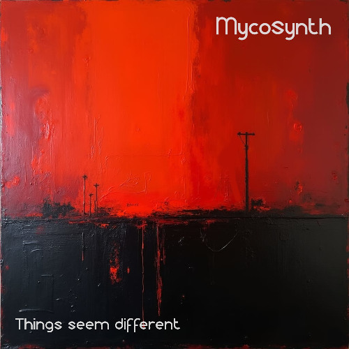 Things seem different