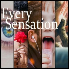 Every Sensation