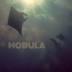 Soulseize - "Mobula"
