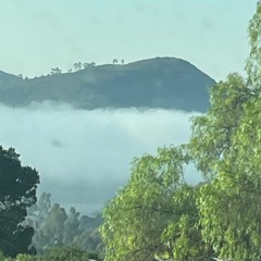 neon kush (prod. OWHF)