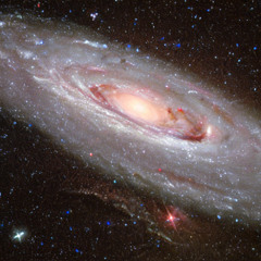 The Andromeda Nebula