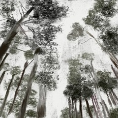 'LIVE' BY DANIEL DRAPER